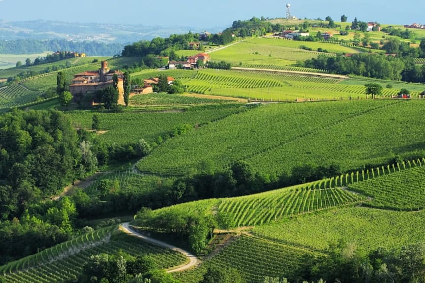 Vineyards around Castello della Volta on the hills outside Barolo in the Langhe wine region of Piedmont, Italy.