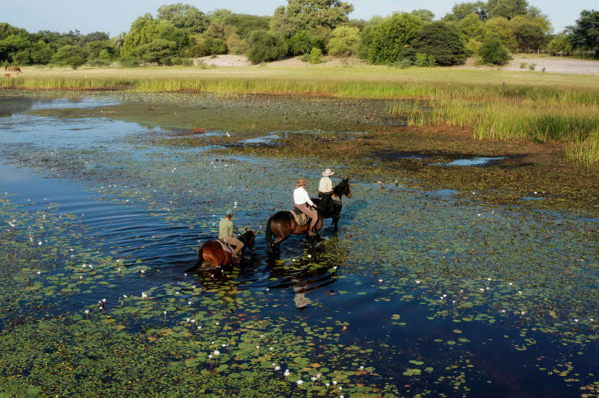 Horseback safari in the Okavango Delta