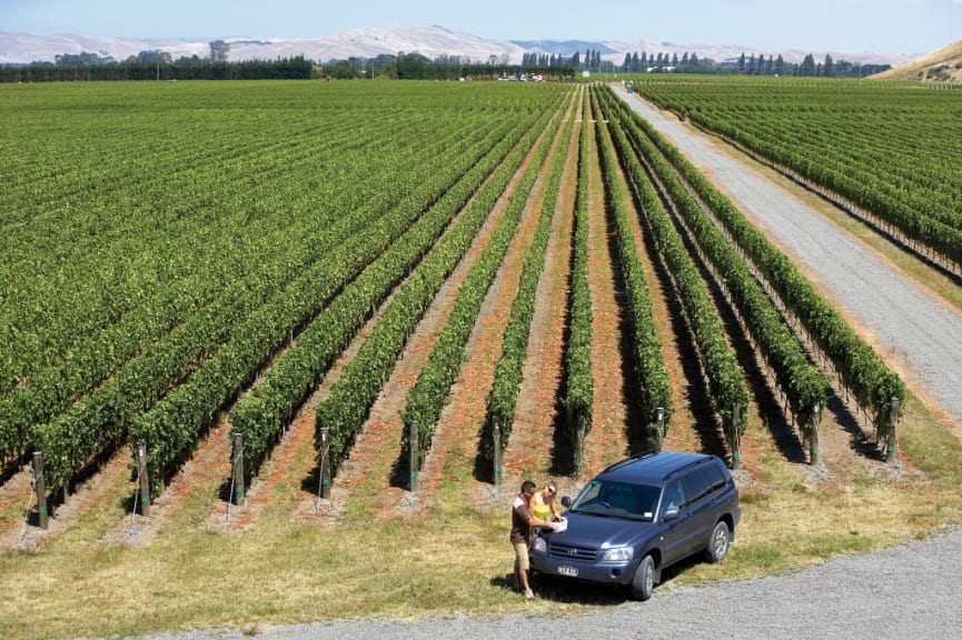 Gimblett Gravels vineyard in Hawke's Bay, New Zealand.  Photo courtesy Tourism New Zealand / Chris McLennan