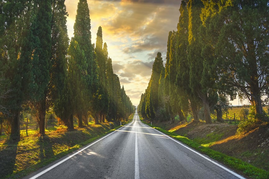 Cypress tree lined road in Tuscany, Italy