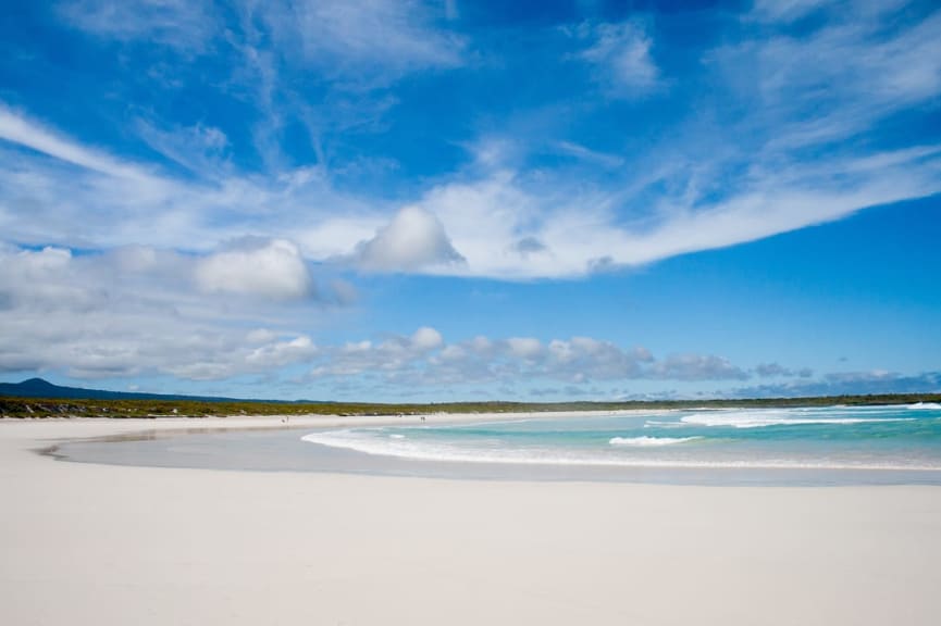 White sand beach and clear water at Tortuga Bay in EcuadorWhite sand beach and clear water at Tortuga Bay in Ecuador