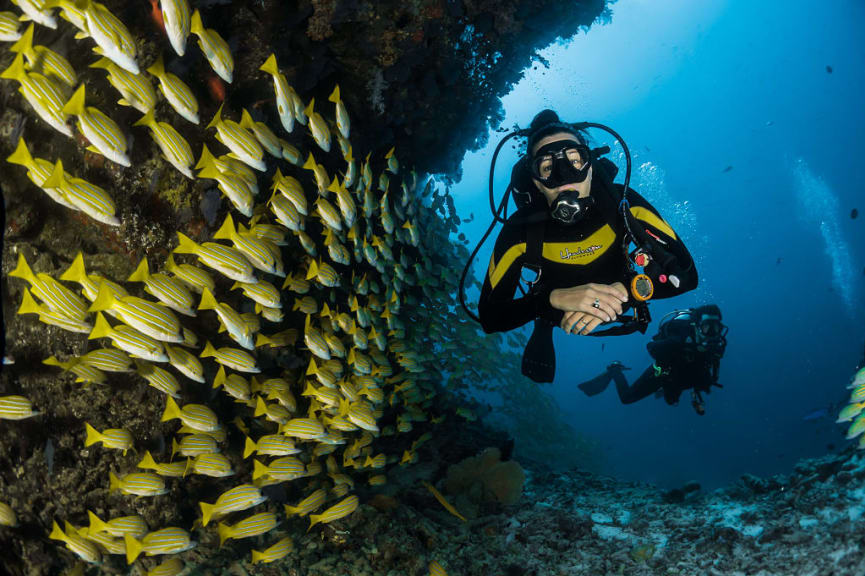 Scuba diving in the Maldives