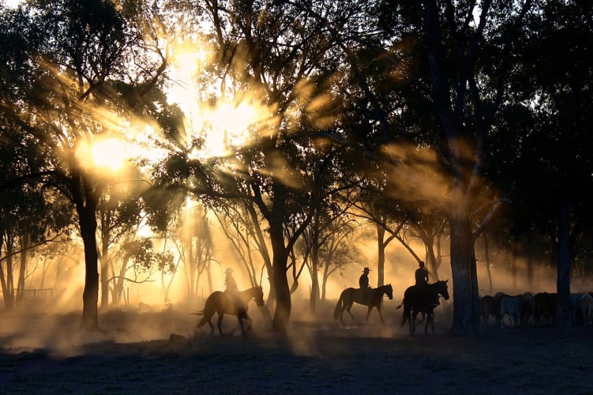 Cattle station in Australia.