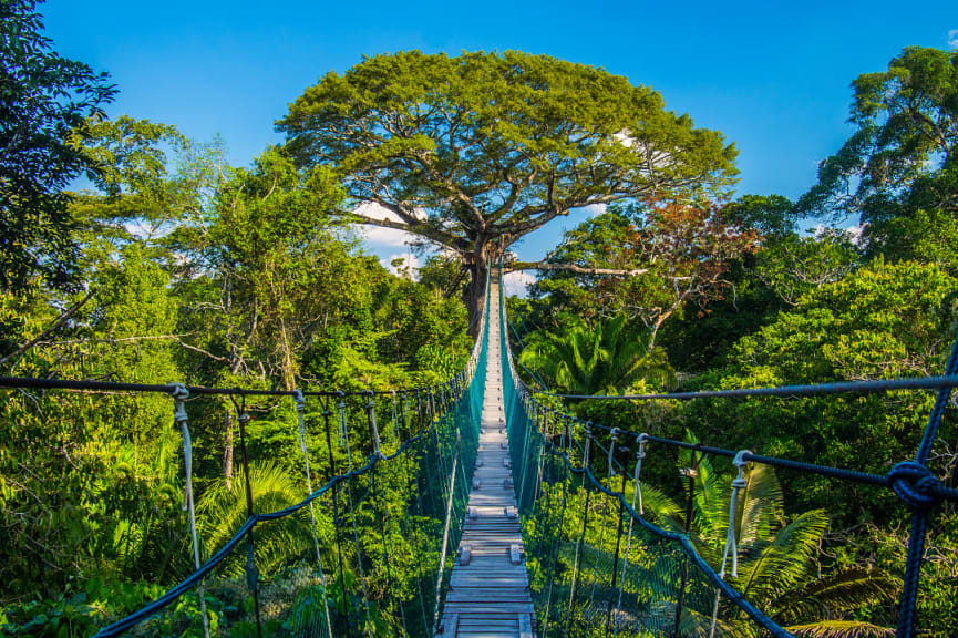 The Path of Mother Earth in the Peruvian Amazon