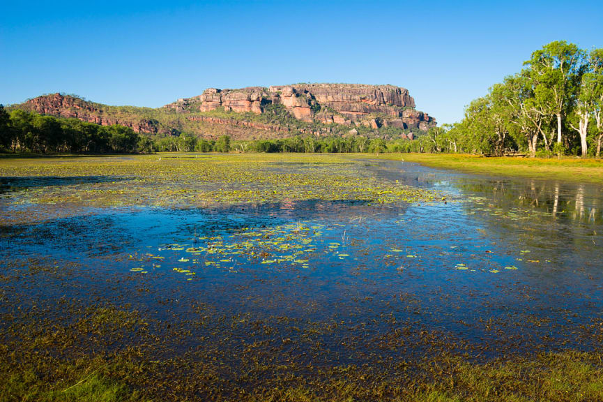 Anbangbang Billabong at Kakadu National Park in Northern Territory, Australia