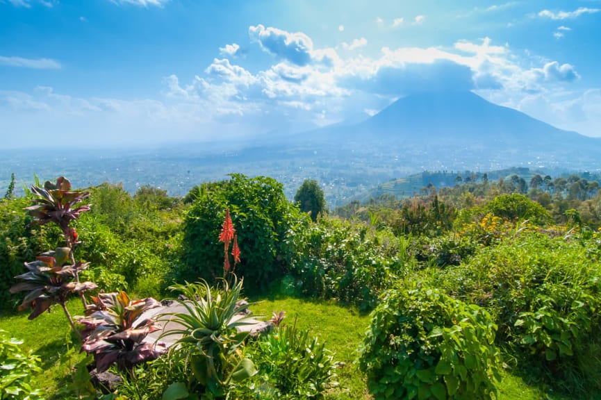 Volcanoes National Park in the Virunga mountains in Rwanda