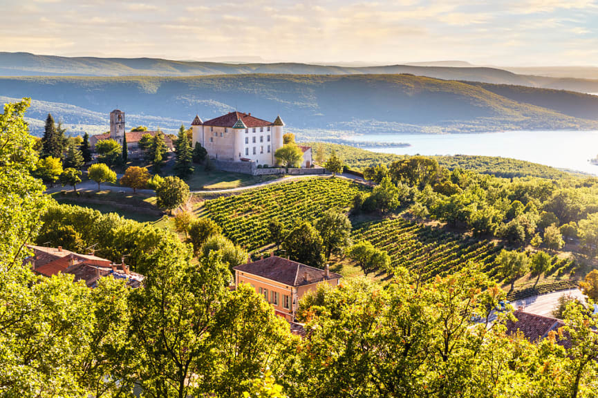 Chateau and vineyards in Provence, France