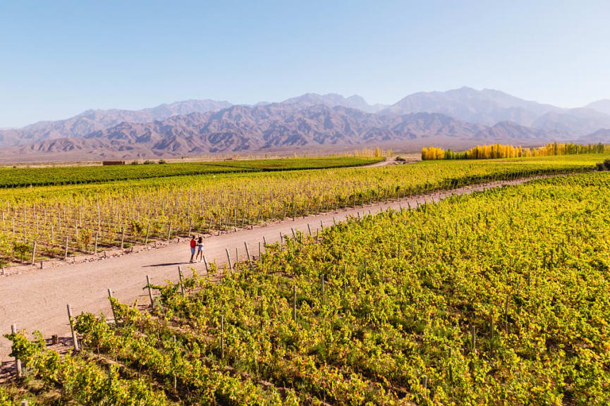 Couple walking through vineyards in Mendoza, Argentina