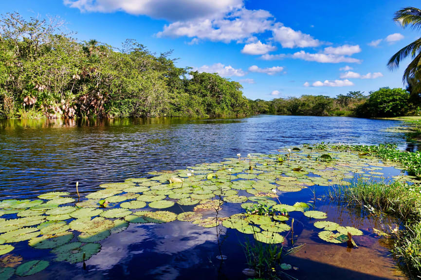 Río Nuevo in Belize