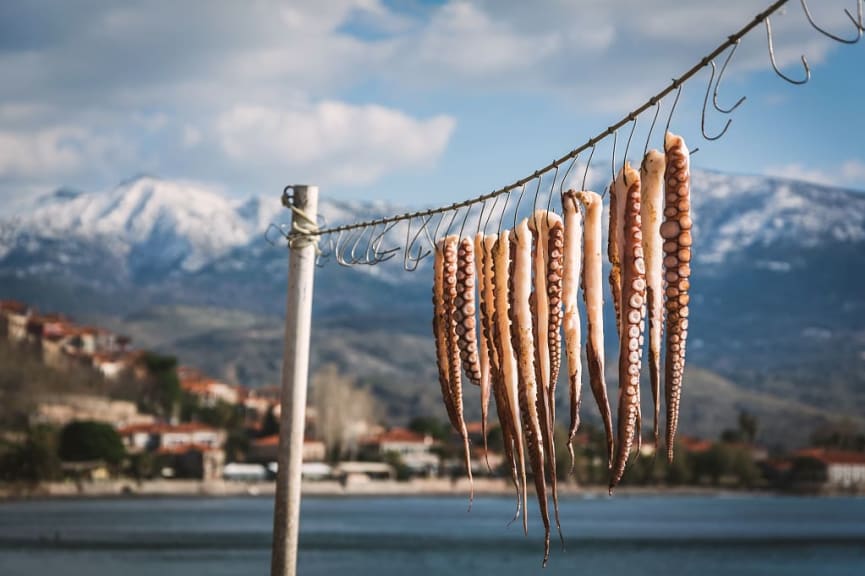 Freshly caught octopus in Lesvos island, Greece.