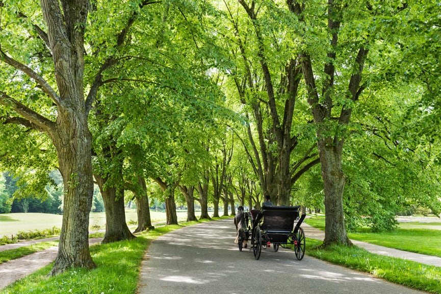 The Lichtentaler Allee in the Spa Park of Baden Baden