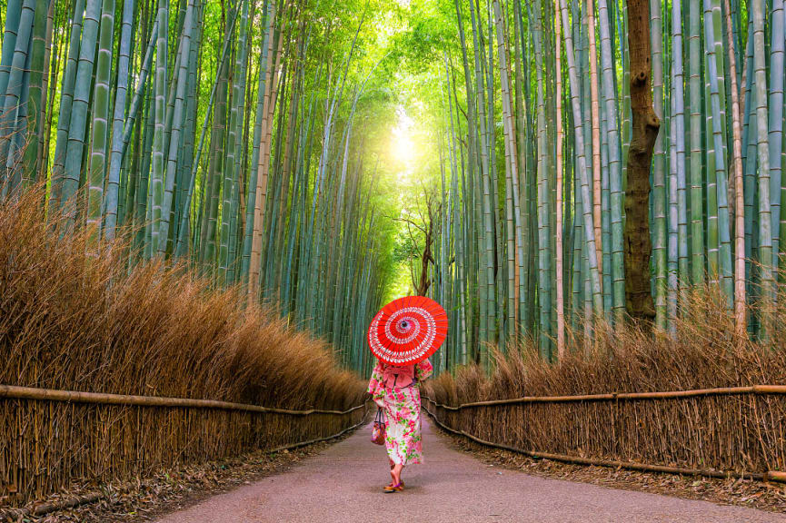 Geisha walking through Sagano Bamboo Forest in the Arashiyama district of Kyoto, Japan