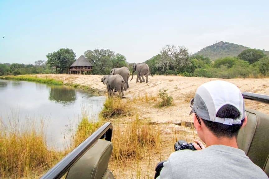 Teenage photographer on safari game drive in Kruger National Park, South Africa