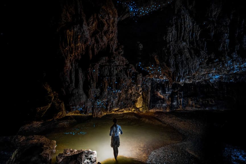 Waitomo Caves in New Zealand