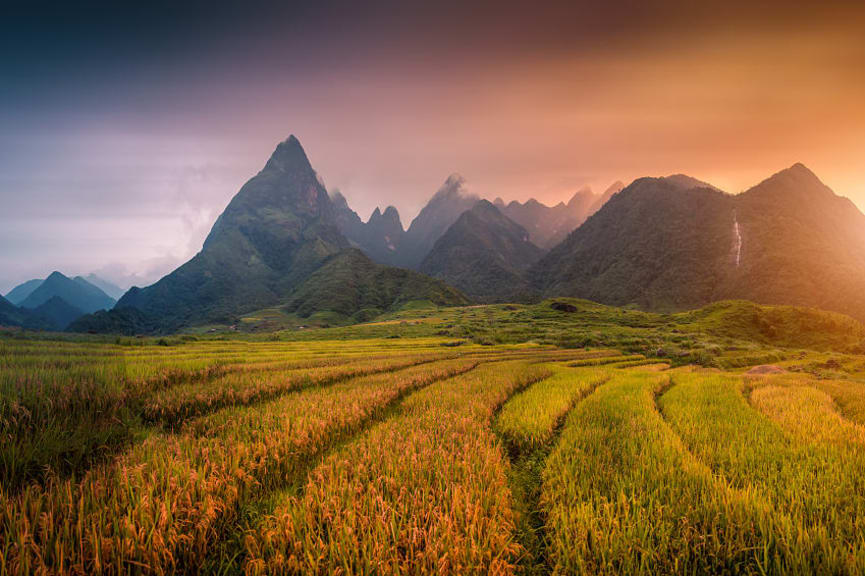 Rice fields with mount Fansipan at sunset in Lao Cai, Northern Vietnam.