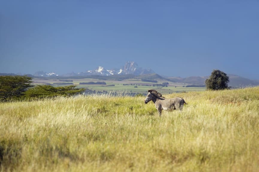 Lewa Wildlife Conservancy, Kenya