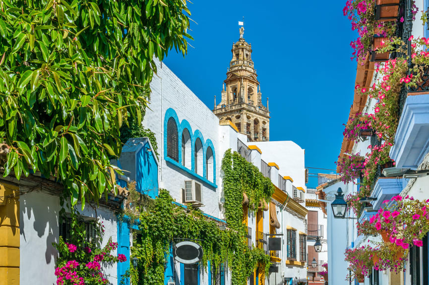 Spring flowers in Cordoba, Spain