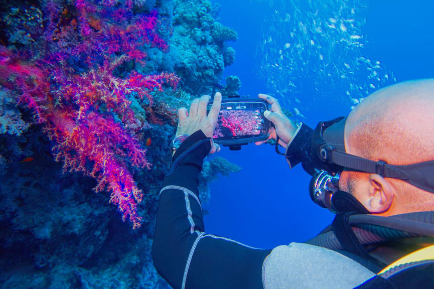 Scuba diver photographing coral with a smartphone