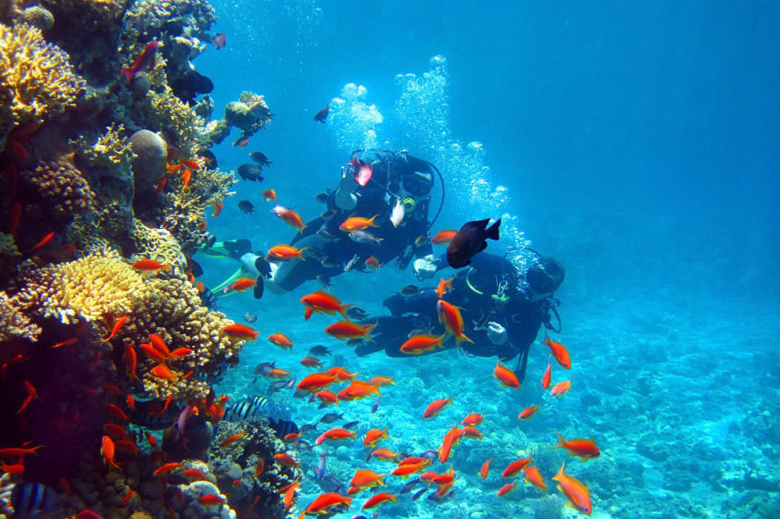 Scuba divers in the Red Sea, Eilat, Israel