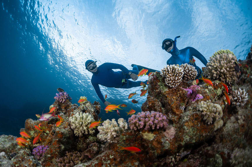 Snorkeling in the Red Sea in Egypt