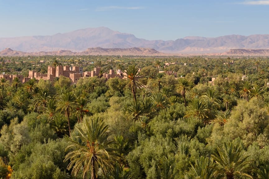 The green and fragrant oasis of Skoura, Morocco