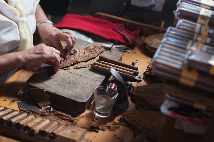 Traditional manufacture of cigars in cuban tobacco factory