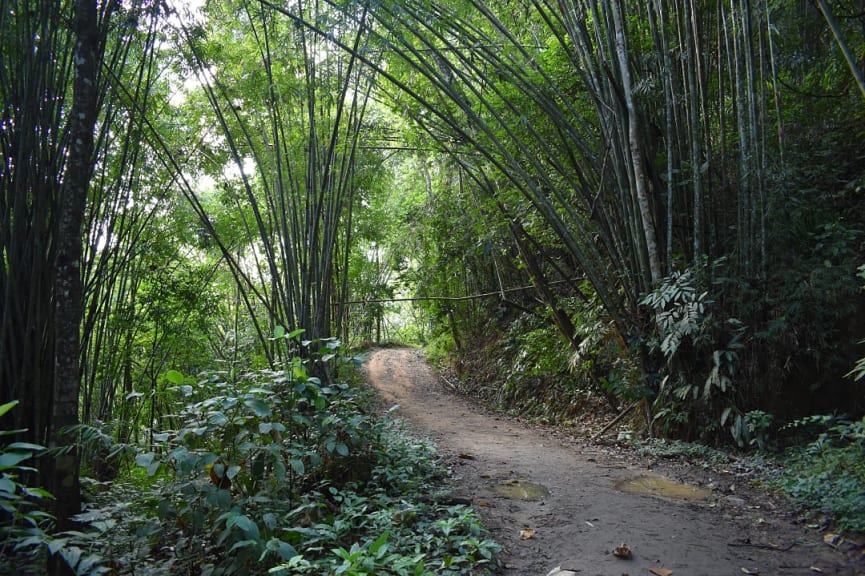 Khao Sok National Park trek, Thailand