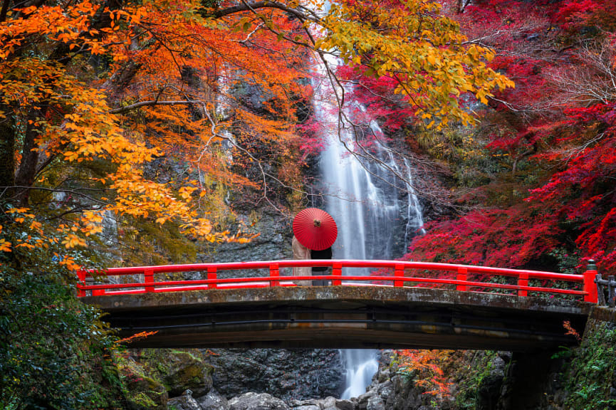 Couple with red umbrella on the red bridge at Minoh waterfall park with autumn red and yellow background