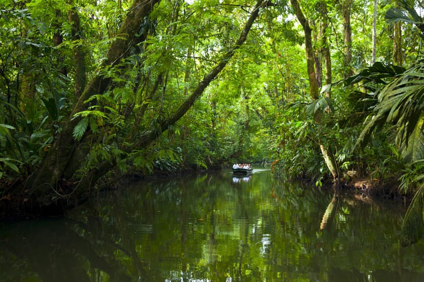 Boat tour through Tortuguero National Park, Costa Rica