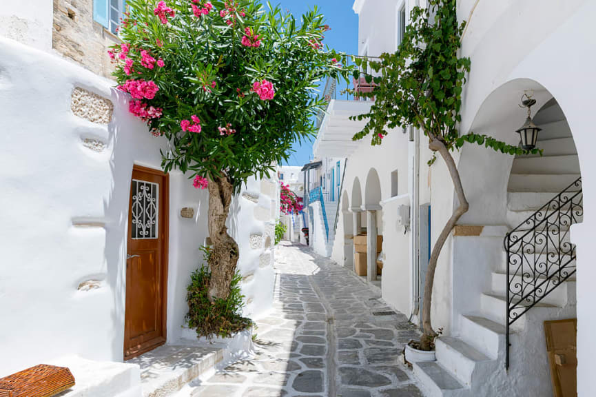 Traditional white alley with colorful oleander flowers and colored doors found on the Cyclades islands in Greece