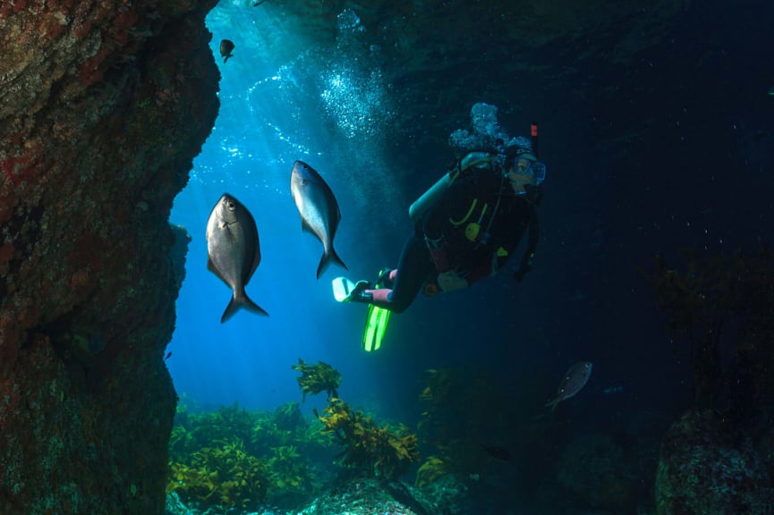 Scuba diver exploring Poor Knights Islands, New Zealand