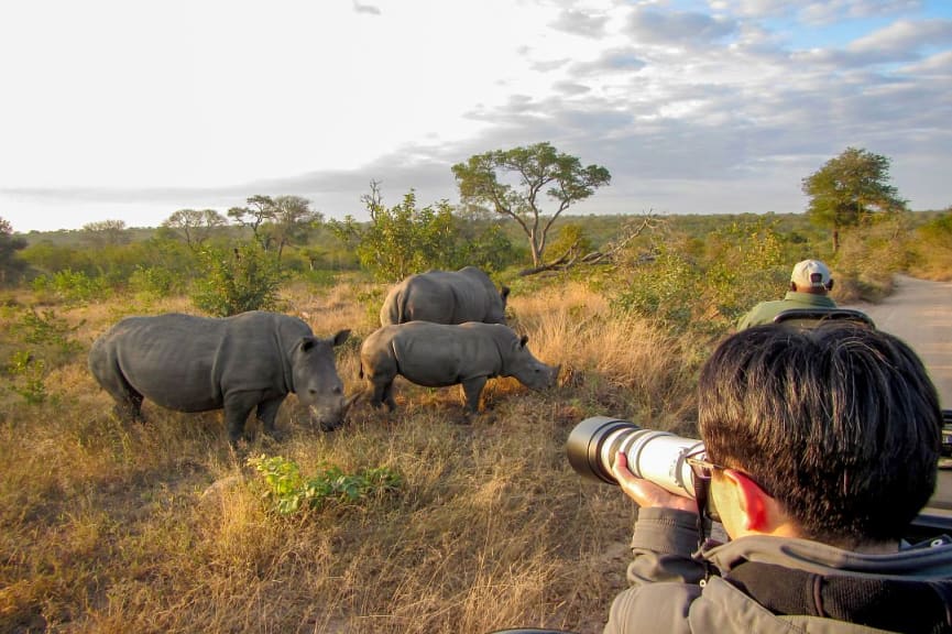 Kruger National Park, South Africa