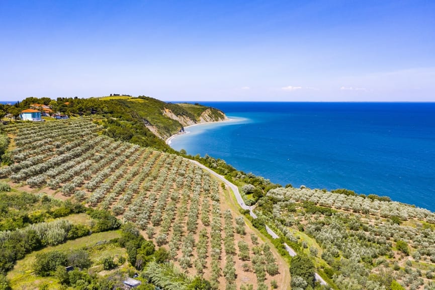 Oceanfront vineyards in Greece