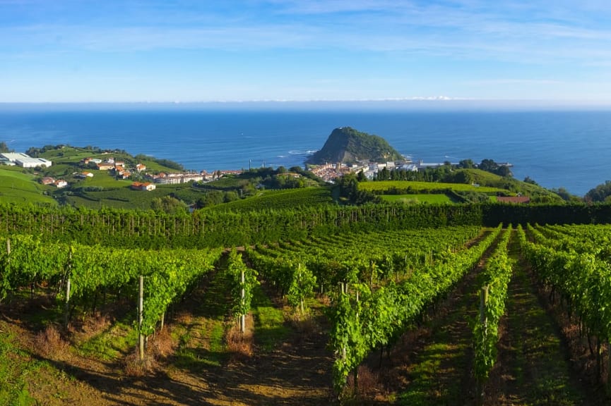 Landscape in the Basque region, Spain 