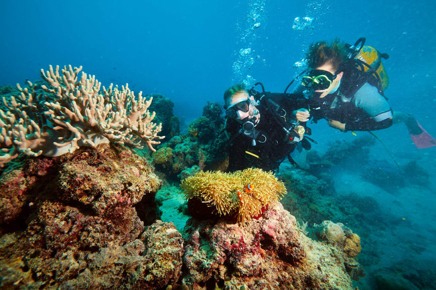 Two scuba divers looking coral in the Great Barrier Reef, Australia