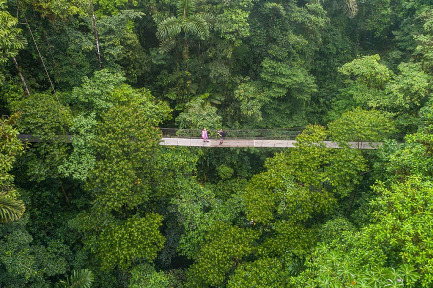 Couple on a suspension bridge in La Fortuna, Costa Rica