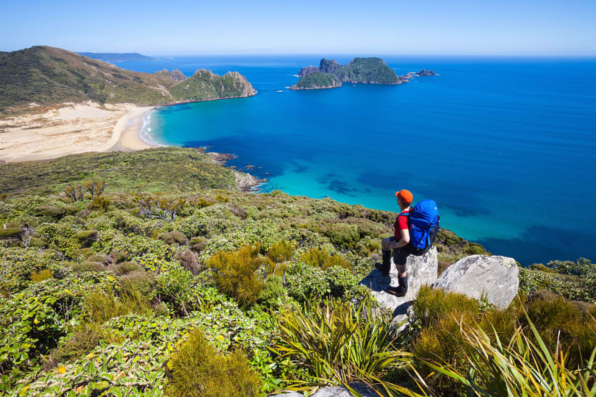 Great Walk in Rakiura National Park on Stewart Island, New Zealand