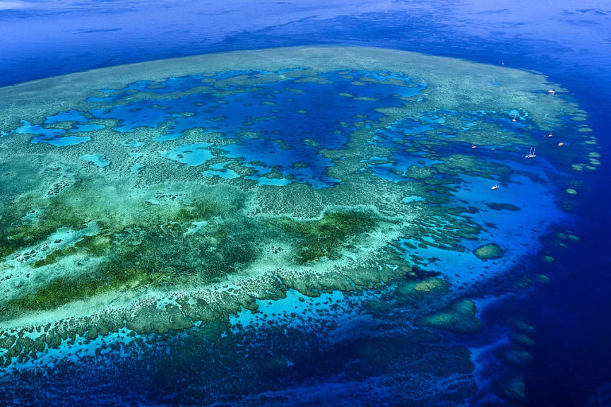 Great Barrier Reef, Australia