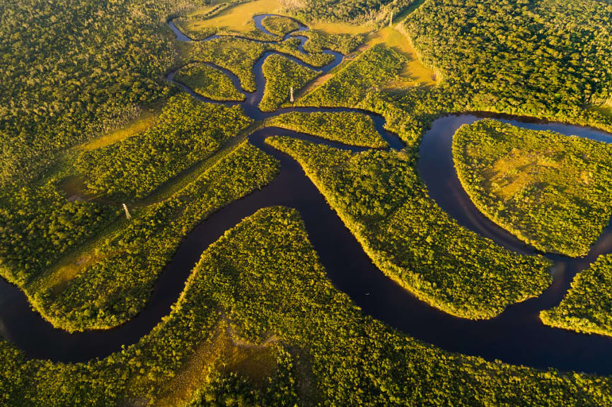 Aerial View of Amazon Rainforest in Brazil