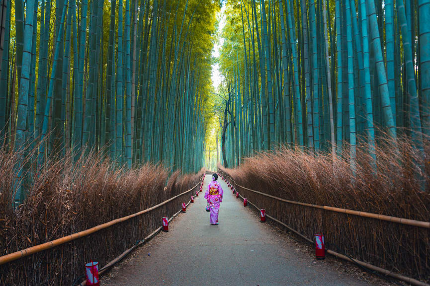 Geisha in Arashiyama Bamboo Forest in Kyoto, Japan