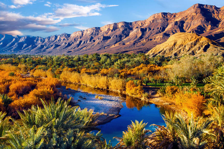 Lush oasis in the Moroccan desert