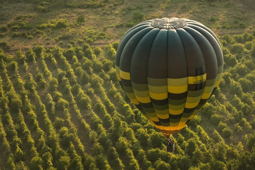 Hot air balloon ride over vineyards in Tuscany, Italy