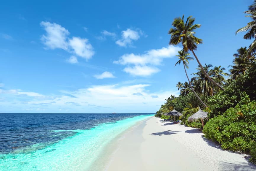 White sand beach in the Maldives