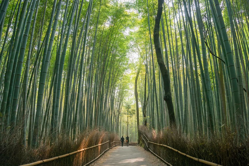 Arashiyama in Kyoto, Japan