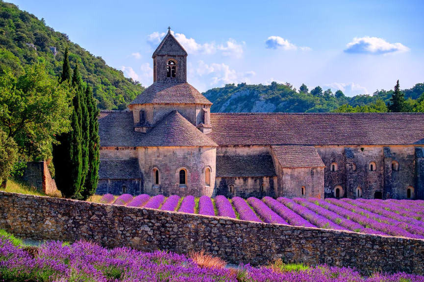 Abbaye Notre-Dame de Sénanque in Provence with lavender fields, in Provence, France