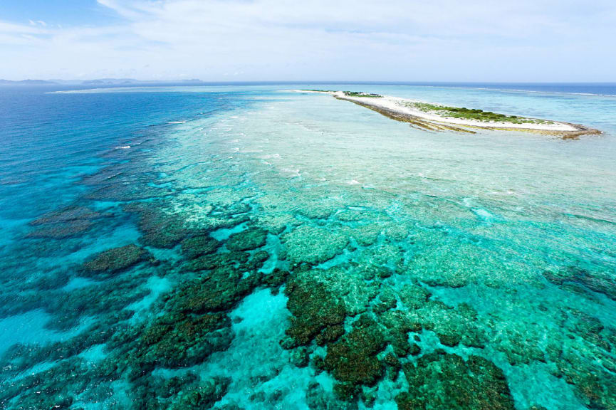 Coral reef in Okinawa, Japan