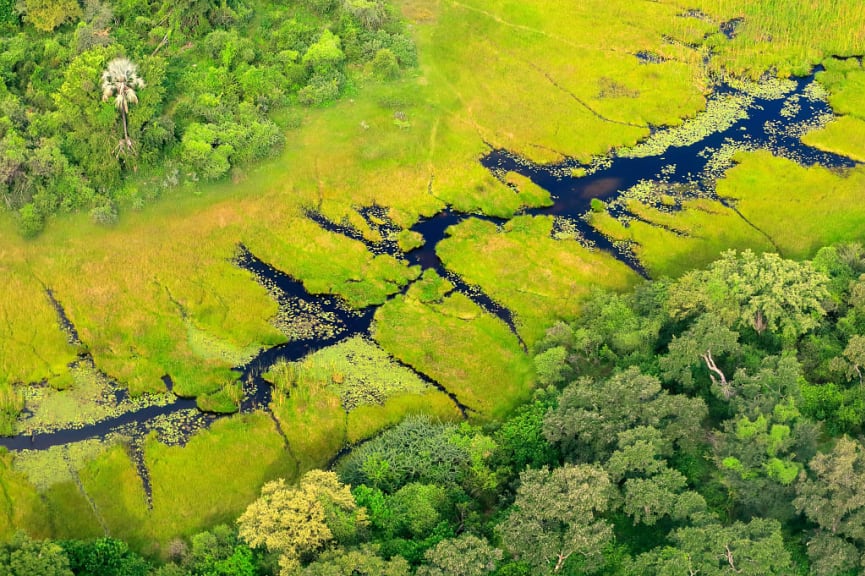 World Heritage Site - Okavango Delta, Botswana