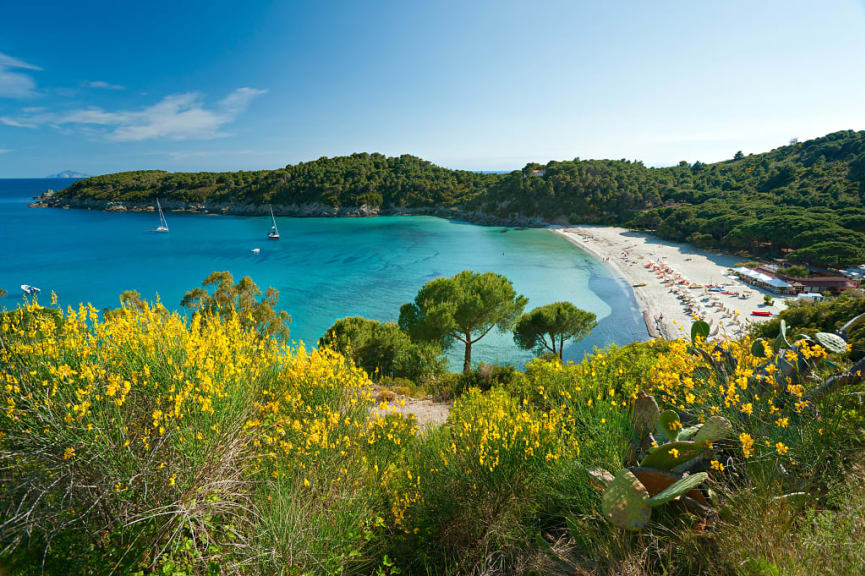 Fetovaia beach on Elba Island in Tuscany