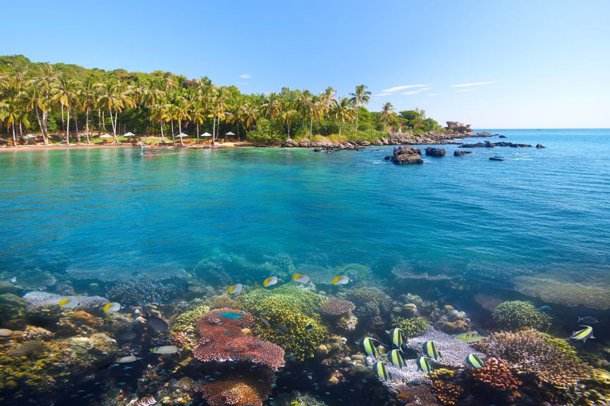 Tropical and marine life at Hon Thom Island in Phu Quoc, Vietnam.