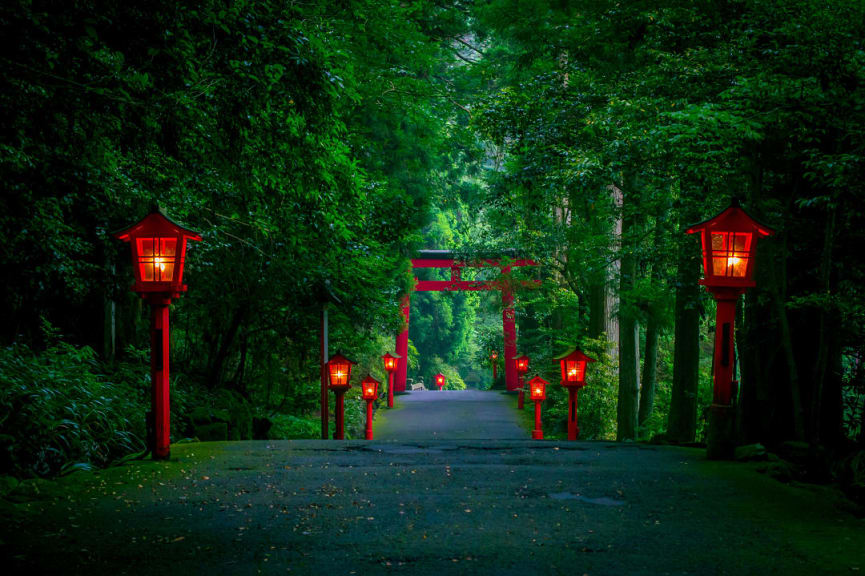 Path to the Hakone shrine in a cedar forest, lit up at night with many red lanterns and a great red tori gat